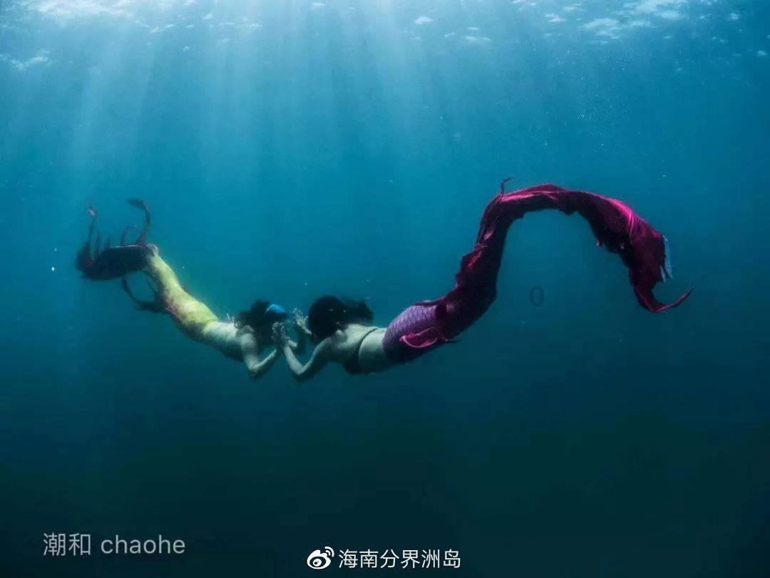 史上最贱小游戏之TV秀